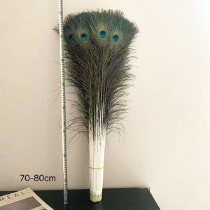 Ấn Độ Tự Nhiên Con Công Màu Xanh Đuôi Lông 70-80 Cm Cho Lễ Hội Khiêu Vũ Và Hiệu Suất Trang Phục Đám Cưới Và Tự Làm Dự Án Bán - Product Image 1