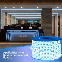 Bande LED Super Lumineuse 220V 2835 120 LED/m Double Rangée Étanche pour Extérieur, Ruban LED Commercial pour Éclairage Linéaire Industriel