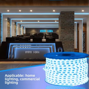 Bande <span class=keywords><strong>LED</strong></span> Super Lumineuse 220V 2835 120 <span class=keywords><strong>LED</strong></span>/m Double Rangée Étanche pour Extérieur, <span class=keywords><strong>Ruban</strong></span> <span class=keywords><strong>LED</strong></span> Commercial pour Éclairage Linéaire Industriel - Product Image 3