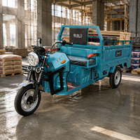 Tricycle électrique de livraison pour hôtels, restaurants, services hôteliers et transport en zone côtière