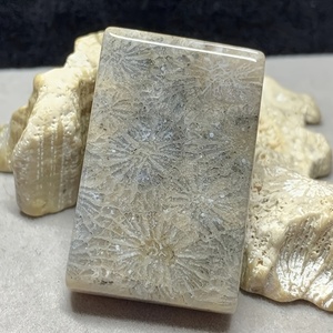 Colgante Esférico de Piedra de Coral Natural Pulido a Mano de Alta Calidad al por Mayor, Feng Shui para Decoración del Hogar y Regalos de San Valentín - Product Image 3