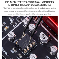 Amplificateur numérique domestique haute puissance Brzhifi PAD-10, qualité Hi-Fi, compact, de bureau, amplificateur de puissance professionnel de niveau Hi-Fi pur