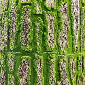 Casca <span class=keywords><strong>artificial</strong></span> de palmeira Roll up Grass Painel de parede Moss <span class=keywords><strong>Tree</strong></span> <span class=keywords><strong>Bark</strong></span> para venda - Product Image 4