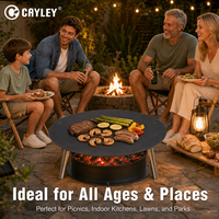Plaque de cuisson ronde portable pour barbecue, ustensile de cuisson de table pour camping en plein air, jardin et patio