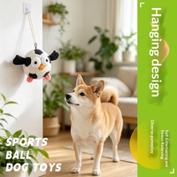 Jouet en peluche pour chien, balle interactive résistante aux morsures avec son froissé, pour l'entraînement des chiens de taille moyenne et grande