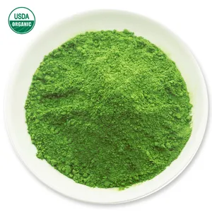 OEM Premium Matcha in polvere puro naturale tè verde Matcha in polvere con gusto delizioso dalla cina