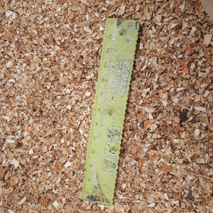 เปลือกปูแตกจากเวียดนาม - Product Image 1