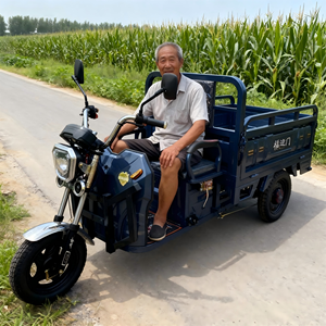 Triciclo eléctrico <span class=keywords><strong>de</strong></span> carga para adultos <span class=keywords><strong>de</strong></span> tres ruedas <span class=keywords><strong>de</strong></span> alta calidad <span class=keywords><strong>de</strong></span> 60V con cesta abierta, potencia <span class=keywords><strong>de</strong></span> 501800W, rango <span class=keywords><strong>de</strong></span> 50-70km - Product Image 1