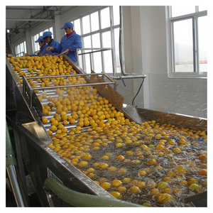 Lavadora de verduras comercial multifuncional para mayoristas - Product Image 1