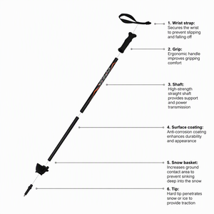 Bâtons <span class=keywords><strong>de</strong></span> <span class=keywords><strong>ski</strong></span> en carbone à module élevé avec panier à neige durable pour le <span class=keywords><strong>ski</strong></span> tout-terrain - Product Image 5