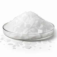Chlorure de calcium dihydraté 74 % en flocons, qualité industrielle, approvisionnement en vrac