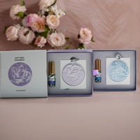 Diffuseur d'arômes suspendu personnalisé en pierre, diffuseur artisanal en plâtre, désodorisant d'huiles essentielles pour voiture et maison, vente en gros
