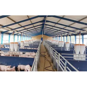 Diseño de construcción prefabricado barato y de alta calidad Marco de acero Cobertizo para cerdos Estructura de acero de largo alcance Edificio de granja de cerdos