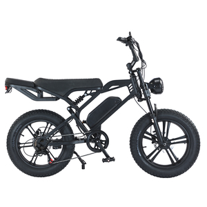 ZUKKA, bicicleta de Cross eléctrica con marco de acero de 20 pulgadas con neumático grueso, Motor de cubo de transmisión trasera de 20*4,0, bicicleta de montaña e-dirt de 48V500W - Product Image 1