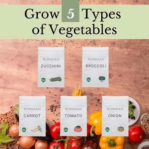 Kit da giardino interno per il giardinaggio domestico con i bambini per piantare Broccoli carote pomodoro zucchine-uso del pavimento - Product Image 3