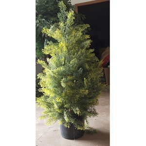 Customized 80cm Height Mini Artificial Cypress <strong>Tree</strong>, Potted Decorative Wood <strong>Tree</strong> <strong>Trunk</strong> Cypress <strong>Tree</strong> Plant Artificial <strong>for</strong> <strong>Sale</strong> - Product Image 3