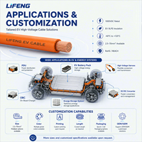 Cable de Alta Tensión para Vehículos Eléctricos de 600/1000V, Sin Blindaje, Impermeable IP67, Cable de Alimentación con Aislamiento XLPE EVR