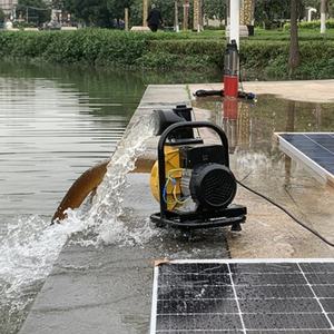 <span class=keywords><strong>Pompe</strong></span> à eau auto-amorçante <span class=keywords><strong>de</strong></span> sortie 25mm pour l'irrigation agricole, moteur sans balais <span class=keywords><strong>de</strong></span> <span class=keywords><strong>surface</strong></span> solaire <span class=keywords><strong>800W</strong></span>, fabricant - Product Image 6