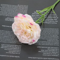 Fleur d'œillet éternelle préservée faite à la main, longue durée, pour cadeau de Fête des Mères, décoration intérieure, style moderne