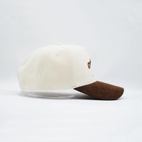 Casquette de baseball vintage bicolore sportive en Oxford avec logo brodé en relief 3D, 6 panneaux, personnalisable OEM, haute qualité