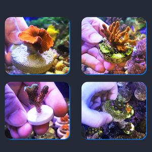 Mai Guang Moderne Koraal Landschapsarchitectuur Lijm Speciale <span class=keywords><strong>Aquarium</strong></span> Lijm Voor Snelle Stolling Van Koraal En Levende Rotsen Onder Water - Product Image 4