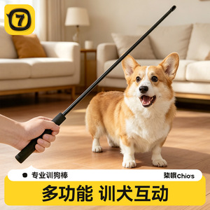 Bâton d'entraînement pour chien 50/75/95 cm, poignée givrée, équipement d'entraînement pour animaux de compagnie, intérieur/extérieur, pour chiens et chats - Product Image 3