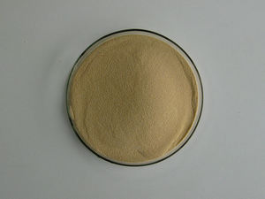 Matière première d'additif alimentaire extrait de levure en poudre - Product Image 3