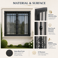 Grille de sécurité pour fenêtre en aluminium à motif floral européen, noir mat, antivol, décorative, protection extérieure pour fenêtre