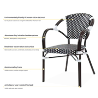 Chaise de bistrot français chaise de jardin en rotin extérieur meubles Paris cour café chaise de salle à manger en plein air