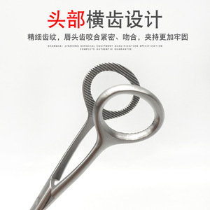 เครื่องมือผ่าตัดช่องปากรูปตัว T ยี่ห้อเซี่ยงไฮ้ จินจง ขนาด 17 ซม. ทำจากสแตนเลสสตีล สำหรับงานทันตกรรม - Product Image 3