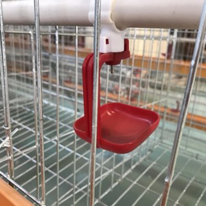 Chicken Coop Cage Farming Equipment Chicken <strong>Feeder</strong> a Type Battery Cage Rooster Cages for Laying <strong>Hens</strong> 2000-5000 <strong>Birds</strong> Capacity - Product Image 2