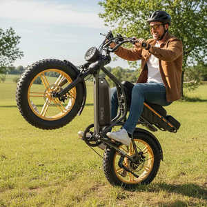 Bicicleta Eléctrica TST R9 para Adultos, Motor de 250W, Batería Integrada de 48V 15Ah/35Ah, Alcance de 55-190km, 25 km/h, Neumáticos Gruesos de 20 Pulgadas - Product Image 2