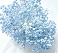 Fleurs de Gypsophile Séchées et Conservées de Haute Qualité, 80g, Prix de Gros, pour la Fête des Mères, la Saint-Valentin, Noël