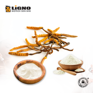 Proveedor Confiable de Malasia, Ophiocordyceps sinensis LiGNO OCS02, Bebida Herbal con Certificación Halal y Kosher, Grado de Bebida, OEM ODM - Product Image 1
