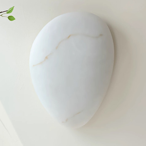 Luz de techo LED creativa en forma de huevo, diseño minimalista para dormitorio, pasillo, y Villa Hotel, fuente de alimentación de CA con Base metálica - Product Image 5