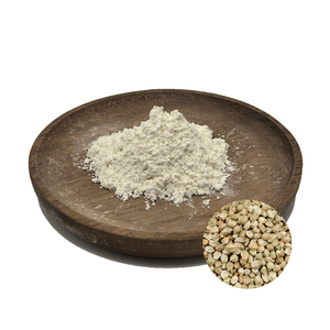Matière première naturelle pour les soins de santé, extrait de graines de <span class=keywords><strong>chanvre</strong></span> en vrac, protéines de <span class=keywords><strong>chanvre</strong></span> biologiques 60% 70%, poudre de protéines de <span class=keywords><strong>chanvre</strong></span> - Product Image 1