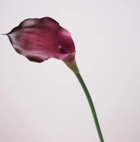 Lys Calla artificiel de haute qualité, 55 cm, en plastique souple, blanc bordeaux, toucher réel, pour décoration de mariage et de table de salon