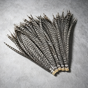 Plumes de faisan naturelles à longue queue pour costumes de carnaval, décoration intérieure, coiffes de mariage et centres de table pour vases. - Product Image 1