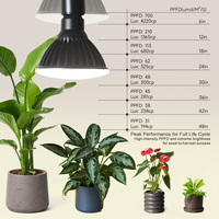 Ampoule LED PAR38 pour culture de plantes, 22W, 3 spectres, avec minuterie E26/E27, haute performance PPF 28,5μmol/s, lumière d'appoint pour plantes d'intérieur