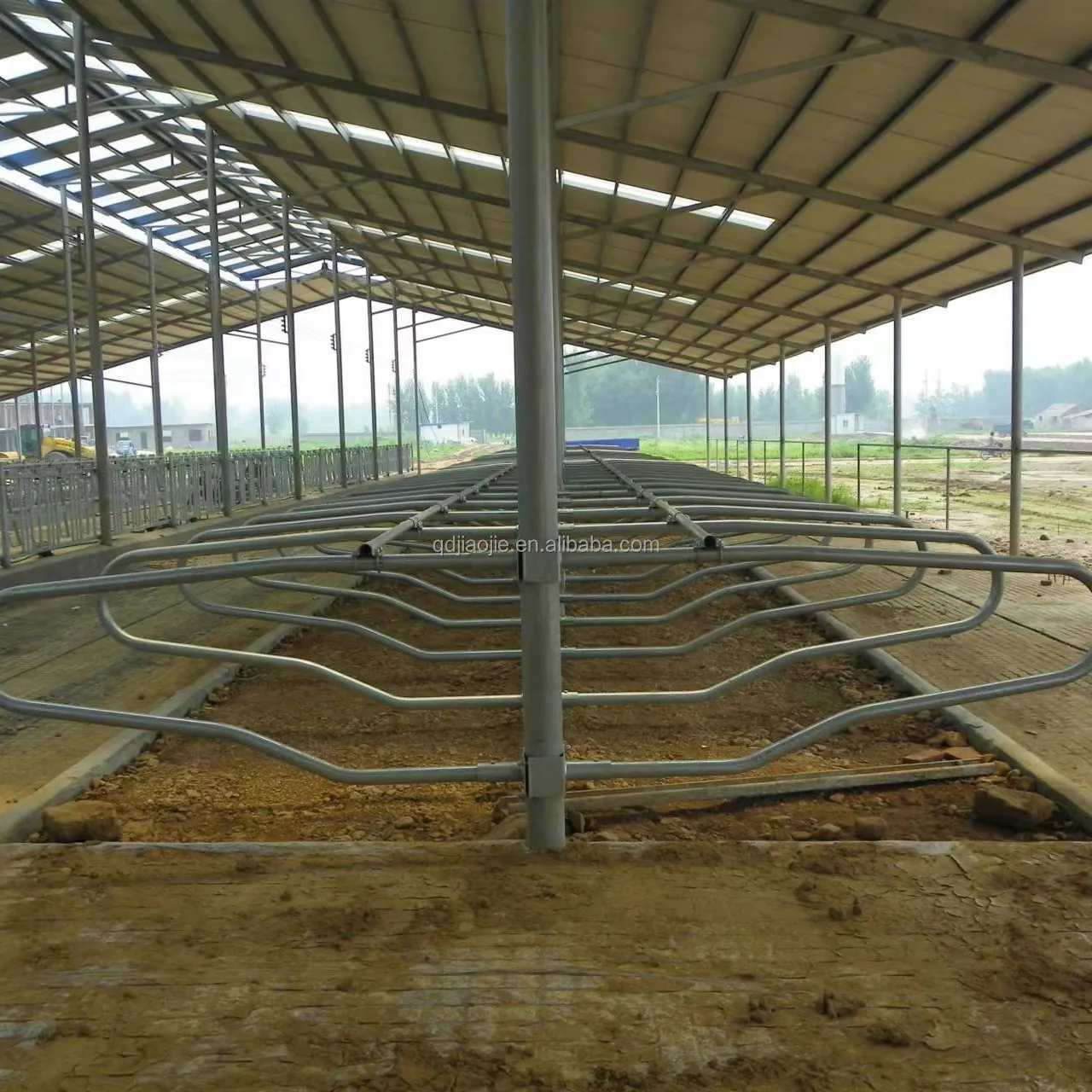Cattle farm use head to head free stall cattle cubicles cow stalls