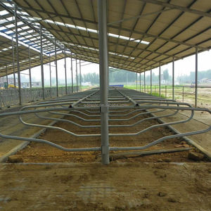 Establo para Ganado, Uso en Granjas, Establos Individuales para Vacas, Cubículos para Ganado - Product Image 1