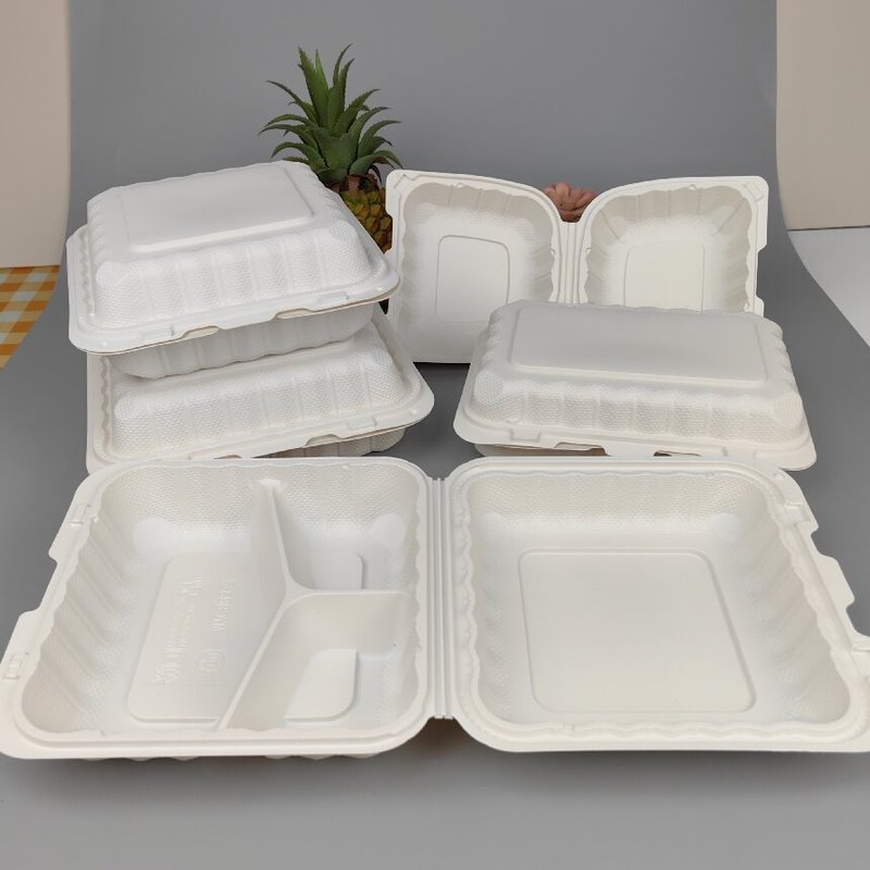 Best Selling Disposable PP Plastic Lunch
