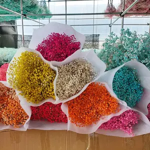 Hoa Gypsophila Được Bảo Quản Bán Sỉ Tất Cả Các Màu Hoa Hơi Thở Cho Bé Hoa Khô