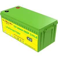 Deep Cycle Lifepo4 Battery, Lithium Iron Phosphate Battery