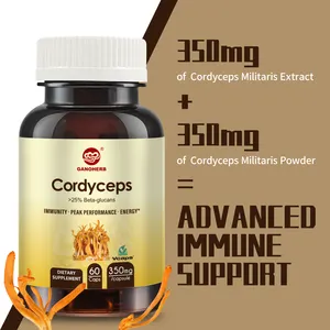 Supplemento Cordyceps hữu cơ vegan viên nang Beta Glucan hơn 25% bổ sung sức khỏe