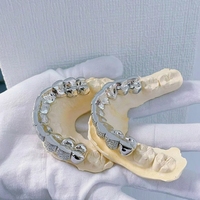 Grillz de luxe en argent 925 plaqué rhodium avec zircon, 10 dents supérieures et 10 dents inférieures, bijoux de mode hip-hop tendance pour rappeurs