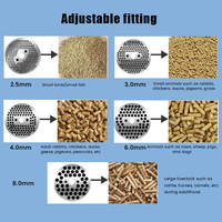 Machine à granulés d'herbe de volaille à haute productivité pour la fabrication de poissons Wanda Thailand Neuf pour les aliments pour animaux à Guangzhou