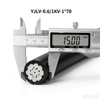 YJLV 0,6~1kV 1*70mm² Aluminiumleiter XLPE-isoliertes Stromkabel