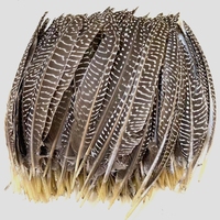 Plumes naturelles de 17 à 25 cm en gros, plumes d'ailes de poulet de Guinée, plumes de coq, plumes de pointe, plumes de plumeau pour décorations de mode