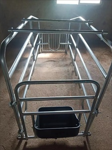 Lit de mise bas en acier simple pour porcs neuf ou utilisé avec ceinture à fumier pour ferme ou industrie du détail Type de cage de couche - Product Image 5